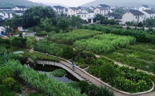 常見污水治理方法有哪些？